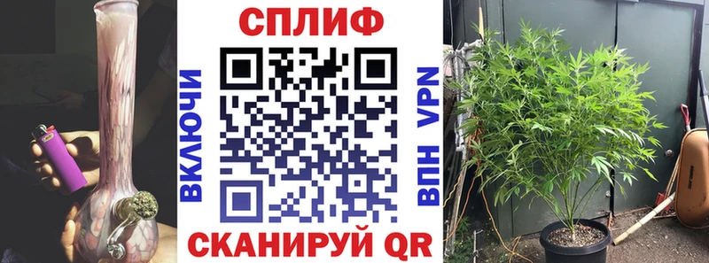 Шишки марихуана план  Тюкалинск 